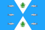 Flag of Luusalmskoe (Karelia).png