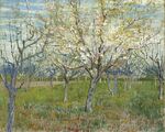 Vincent van Gogh - De roze boomgaard - Google Art Project.jpg