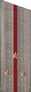 погоны 1969