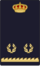 Cnpdivisme4.png