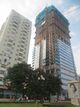 Diamond Flower Tower during construction (IMG 0002).JPG