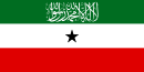 Flag of Somaliland.svg