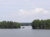 LacOnega.JPG