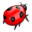 Nuvola apps bug.png