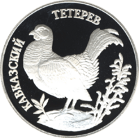 RR5109-0008R Кавказский тетерев.png
