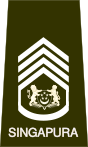 SGEWO-SWO.svg