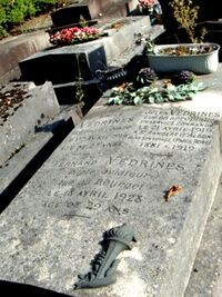 Tombe vedrines.JPG
