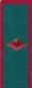 петлица 1924