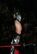 13 Rey Mysterio Cropped.jpg