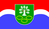 Флаг