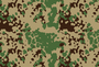 Indian Flecktarn.png