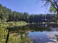 Kopeika lake 01.jpg