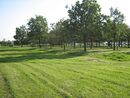 Sankt-Peterburg 2012 4560.jpg