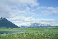 Scenery, Kodiak National Wildlife Refuge.jpg