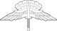 USAF - Occupational Badge - High Altitude Low Opening.svg