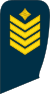 11-Lithuania Air Force-MSG.svg