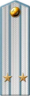 погон милиции 1953