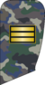 3- IRIADF-PFC.png