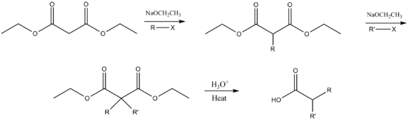 Dialkylation malonic ester synthesis mechanism.png