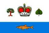 Флаг