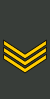 Georgia-Army-OR-6.svg