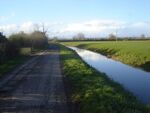Goldcliff reen.jpg