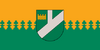 LVA Pļaviņas flag.png