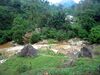Nilgiris scenic view.jpg