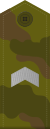Rus st serjant field.svg