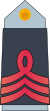 04. AAF-SGT.svg