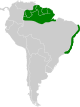 Discosura longicaudus map.svg