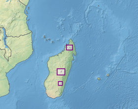 Ecoregion AT1011.svg