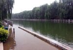 Grand canal branch flooded.jpg