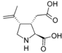 Kainic acid.png