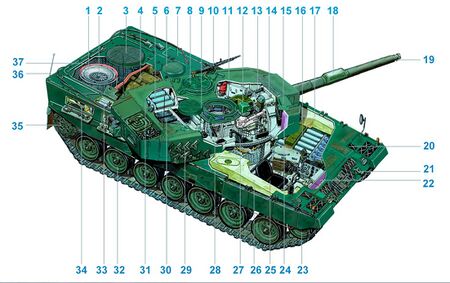 Leo 2 dissection.jpg