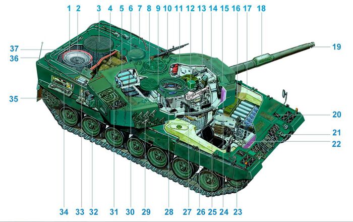 Leo 2 dissection.jpg