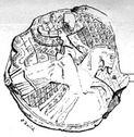 Robert of Taranto.jpg