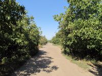 Vakulenchuka Street, Melitopol, Zaporizhia Oblast, Ukraine 08.JPG