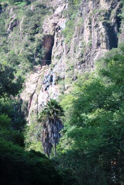WtrfallTaxco1.JPG