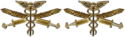 Емб чп лог (2016).png