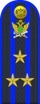 15.погон ФССП - полковник.png