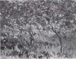 Monet - Wildenstein 1996, 1634.png