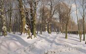 Peder Mønsted - Sneklædte skovvej i sollys (1908).jpg