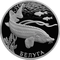 RR5110-0160R 2 рубля 2019 Белуга (Красная книга).png
