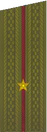 погоны 1969