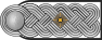 SS-Obersturmbannführer h.svg