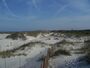 St Aug Anastasia SP dunes02.jpg