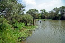 Река Илистая.jpg