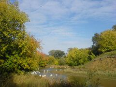 Чэчкаб.буа.jpg