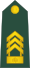 10-Slovenian Army-CSM.svg